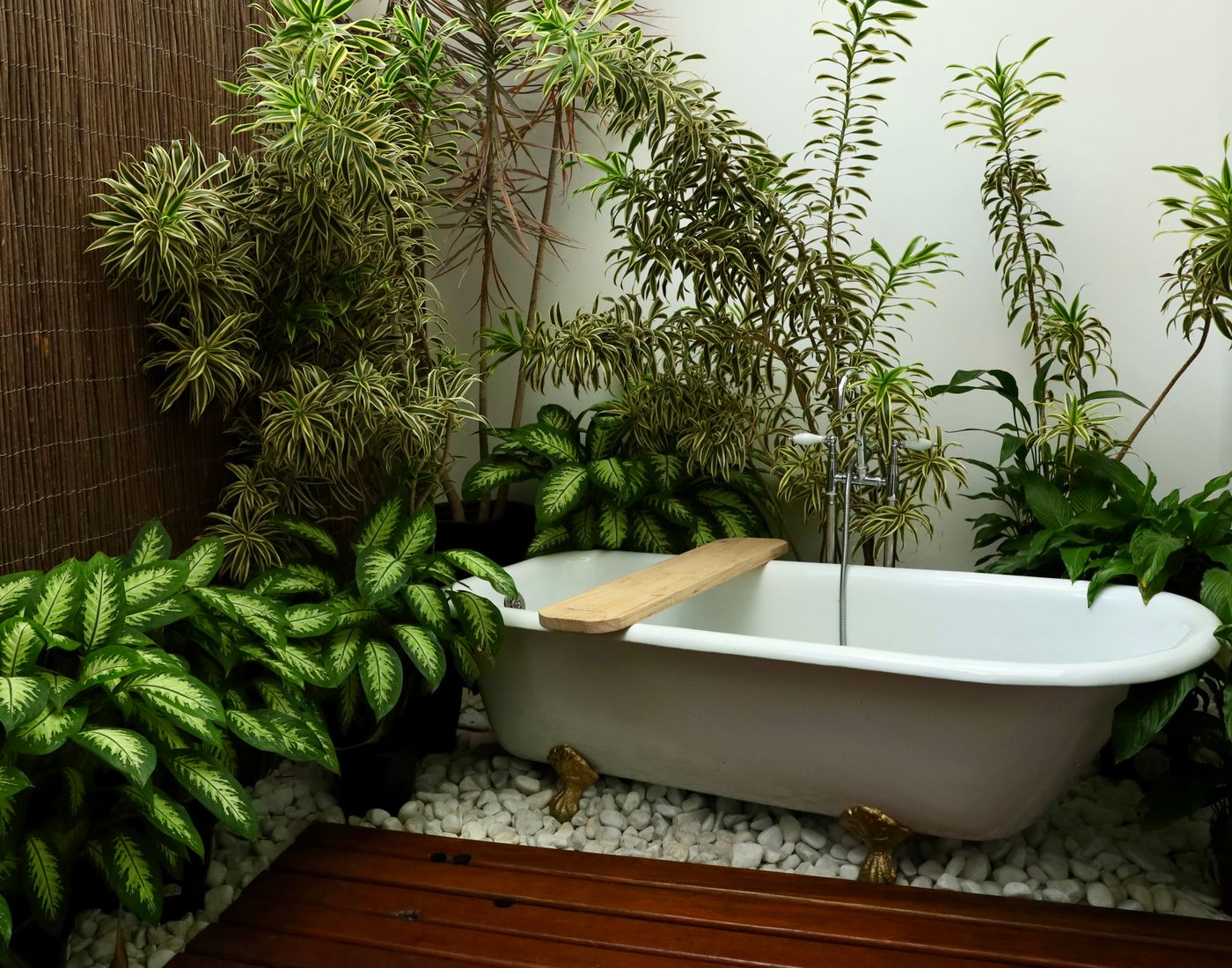 Espace bien-être entouré de plantes vertes
