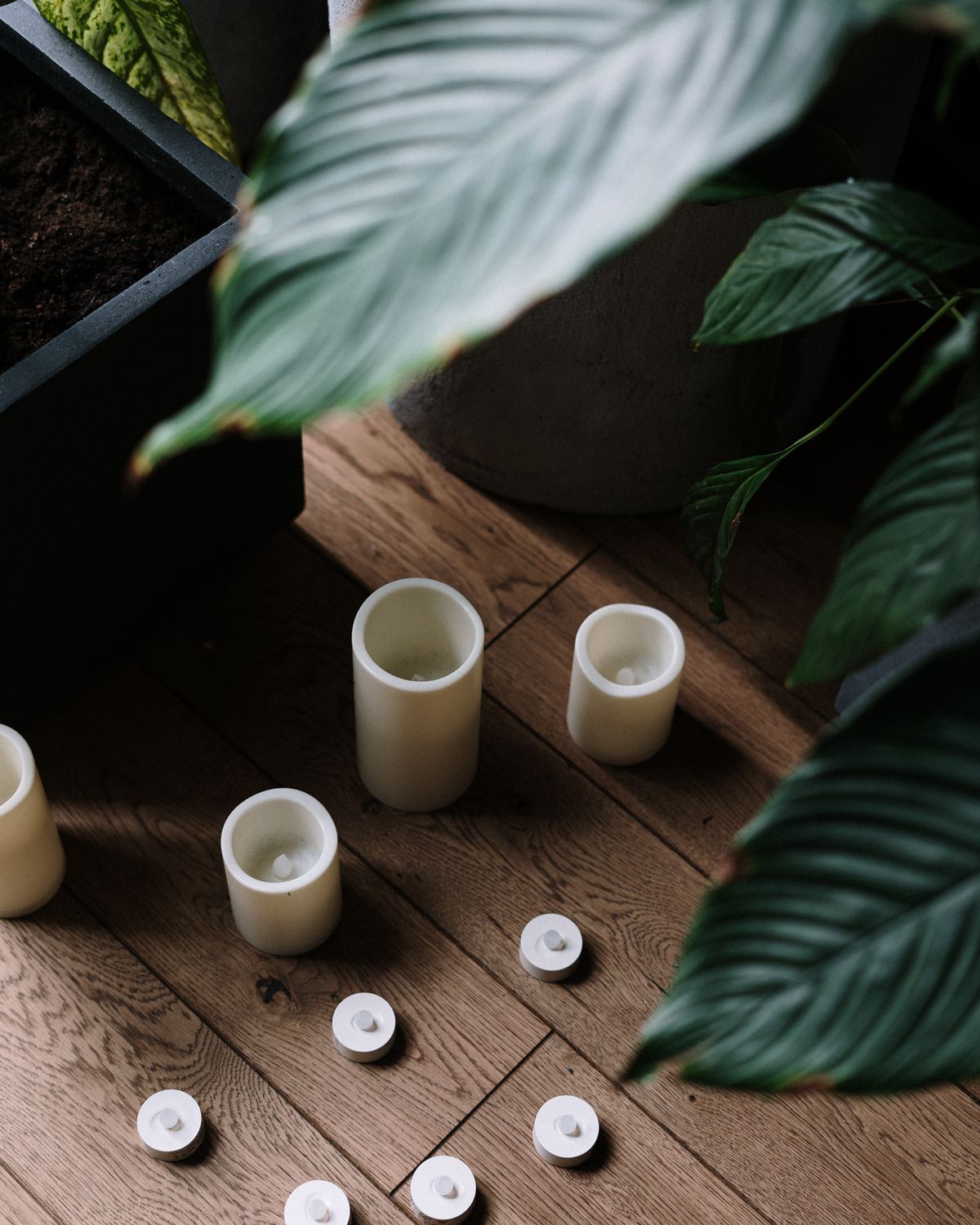 Bougies et feuillage vert dans un intérieur apaisant